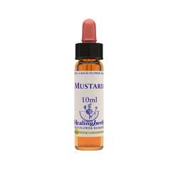 Mustard