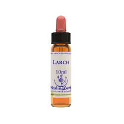 Larch