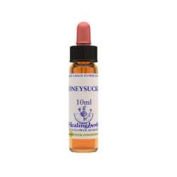 Honeysuyckle