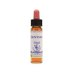 Gentian