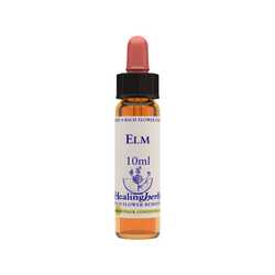 Elm