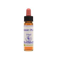 Cherry plum