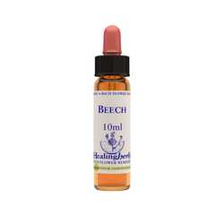Beech