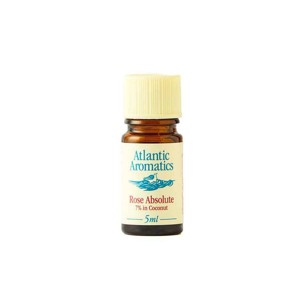 Rose Absolute 7 in Coconut