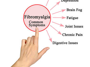 A WELLNESS PLAN FOR FIBROMYALGIA
