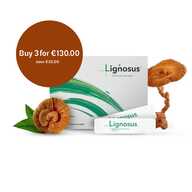 Lignosus - Tiger Milk Mushroom