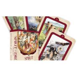 Spirit of the drum oracle