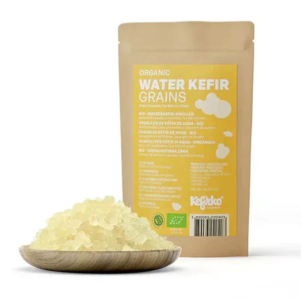 Kefirko water kefir grains