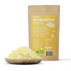 Kefirko water kefir grains