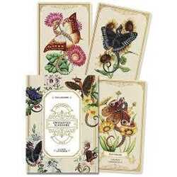 Enchanted blossoms oracle