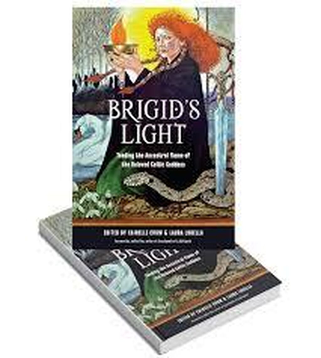 Brigids light book