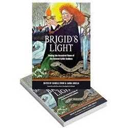 Brigids light book