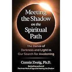 Meeting the shadow book