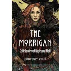 Morrigan book