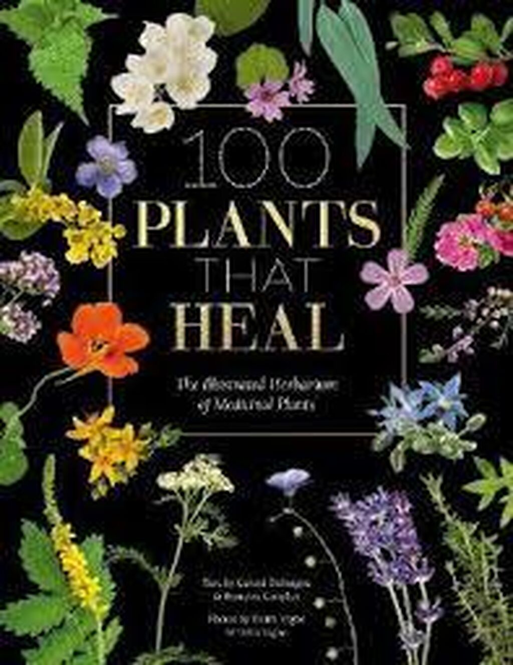 100 plants that heal