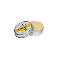 Ancestral Cosmetics  Tallow & Honey Lip Balm