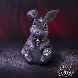 Bunny cult cutie