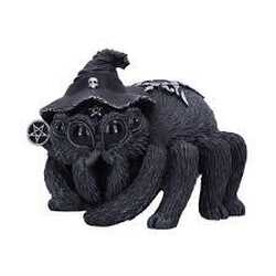 Arachnias cult cutie