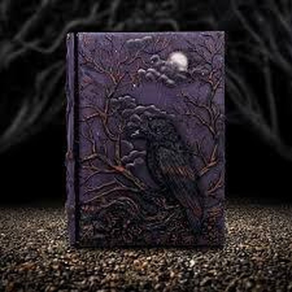 Ravens grimoire journal