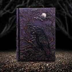 Ravens grimoire journal