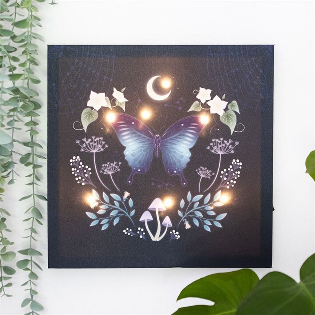 Midnight moth light up canvas