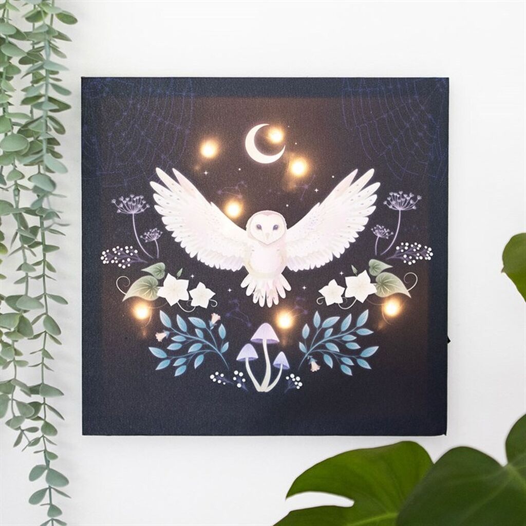 Night owl light up canvas