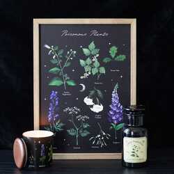 Poisonous plants wall plaque