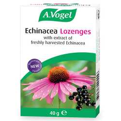 Echinacea lozenges