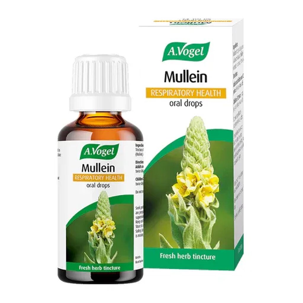 A vogel mullein respiratory health