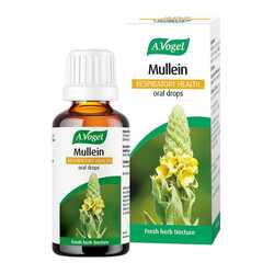 A vogel mullein respiratory health