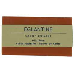 Eglantine Wild Rose