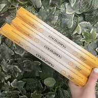Elements Incense- Energising