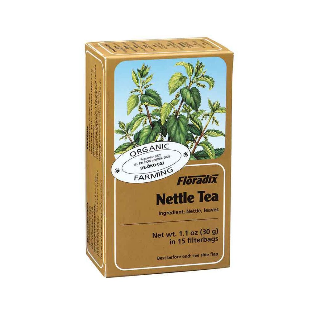 Nettle Tea