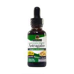 Nature s answer astragalus alcohol free 30ml 83000005749 2048x