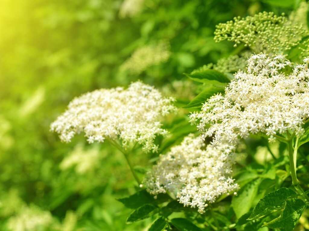 My project 2022 07 01 T102647 086