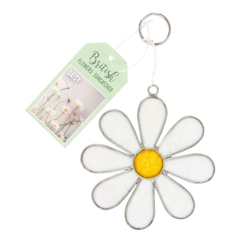 Daisy sc