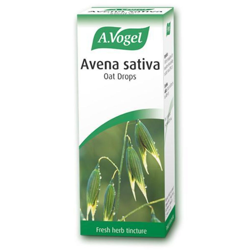 Avena sativa
