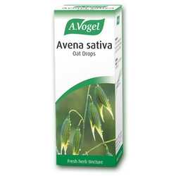 Avena sativa