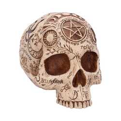 Apothecary Skull