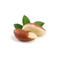 Vitae Plante Organic Brazil Nuts