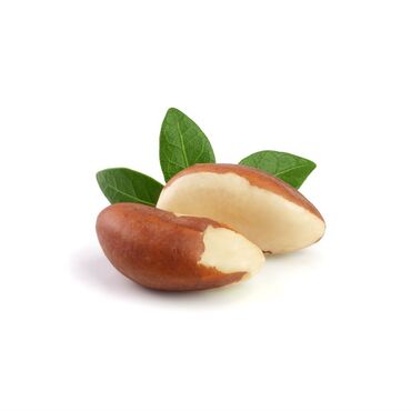 Vitae Plante Organic Brazil Nuts Organic Brazil Nuts