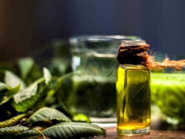 THE HEALTH BENEFITS OF NEEM