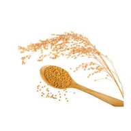 True Natural Goodness Organic Millet