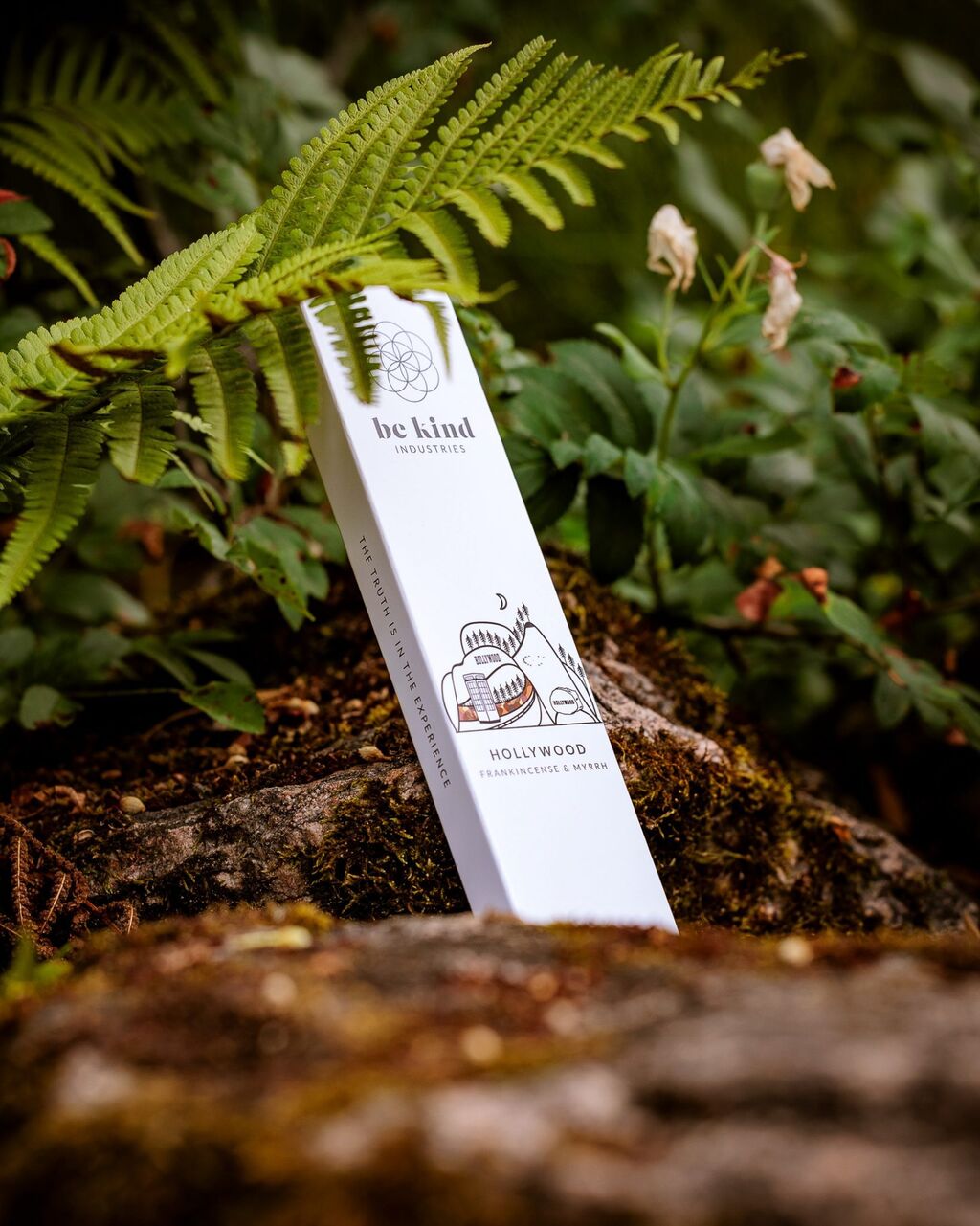 68211529 2 F60 4 B5 E BABD 111 AE3 FA98 B6