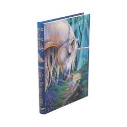 Notebook unicorn fairy