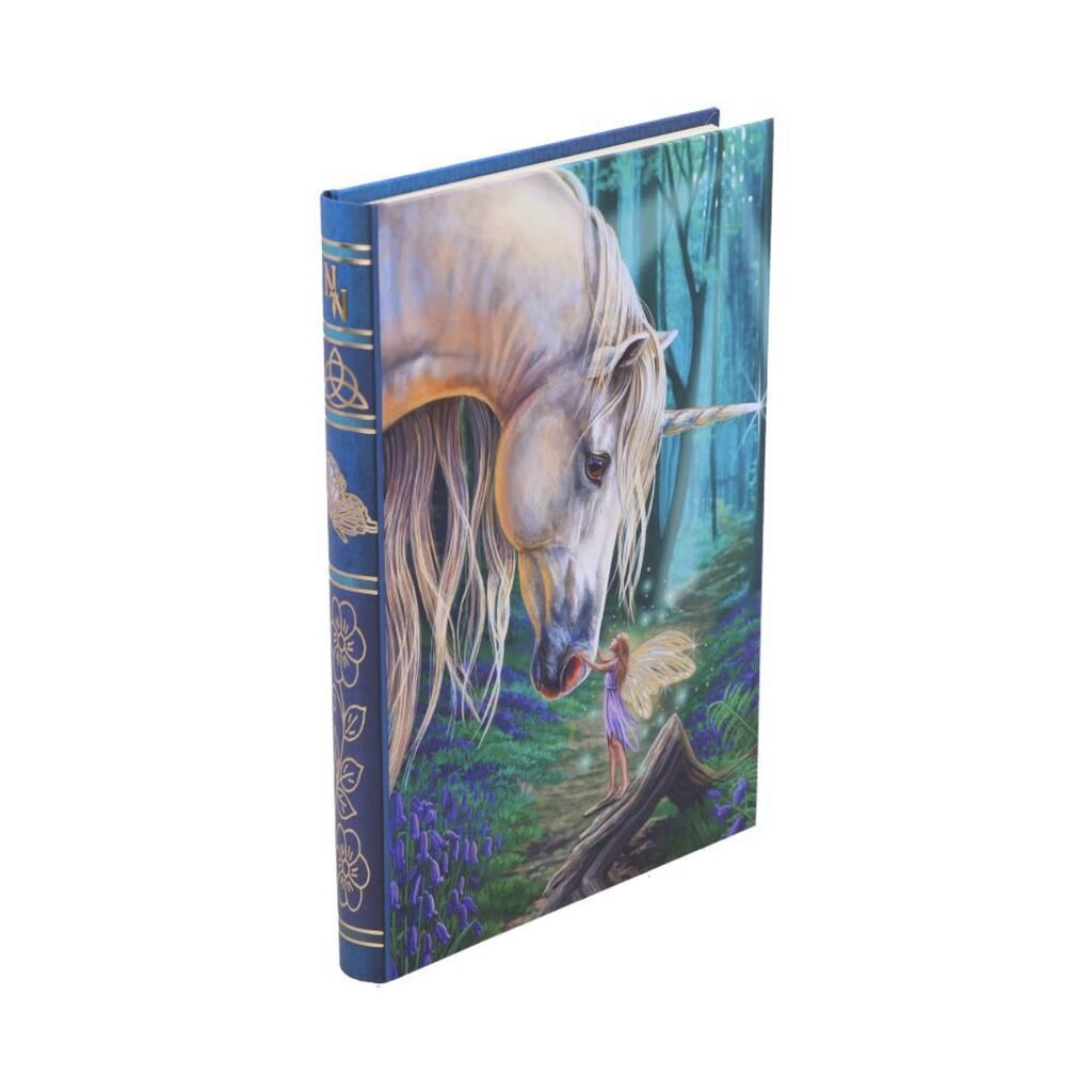 Notebook Fairy Whispers | Buy Online in Ireland | Natural Health Store