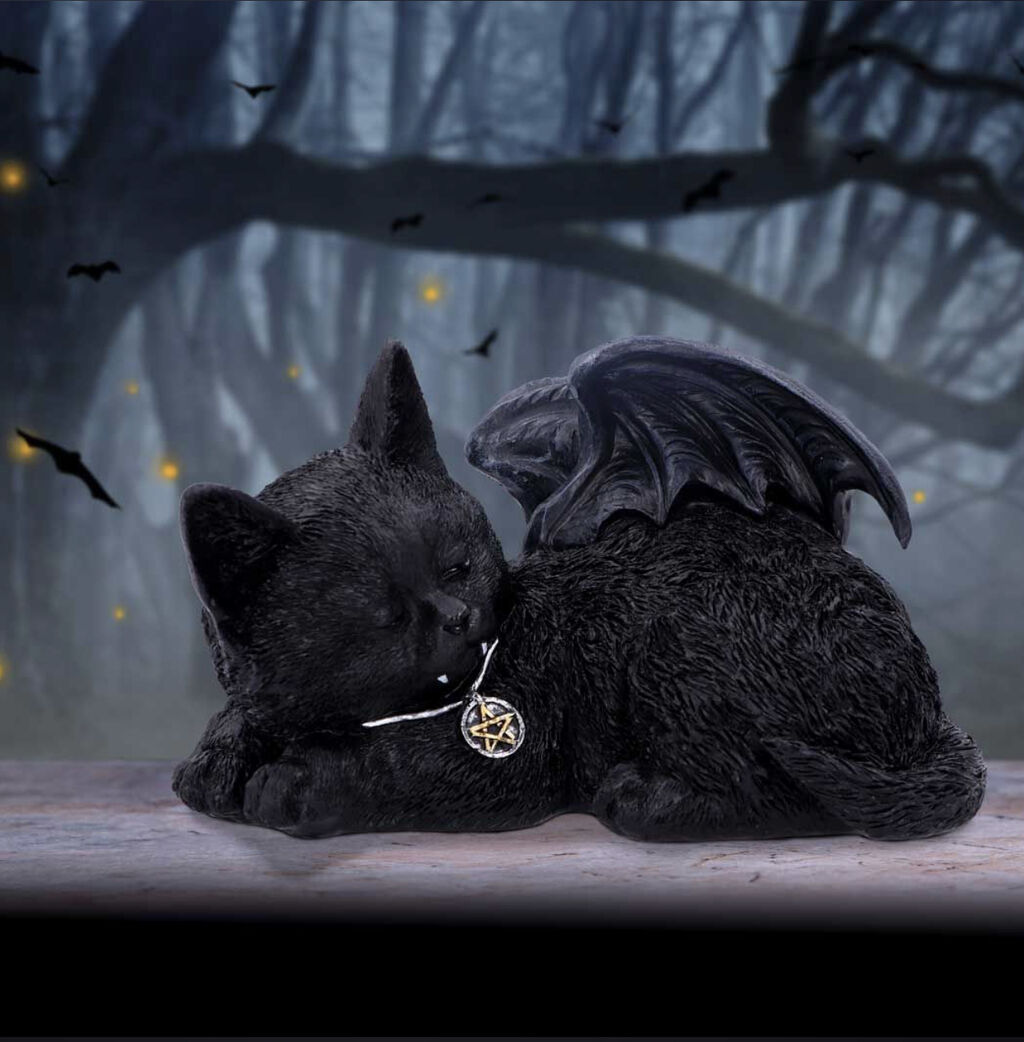 Wicca cat vampire