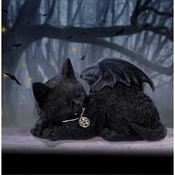 Wicca cat vampire