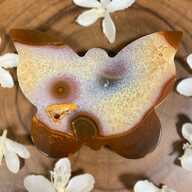 Crystal Druze Carnelian Butterfly