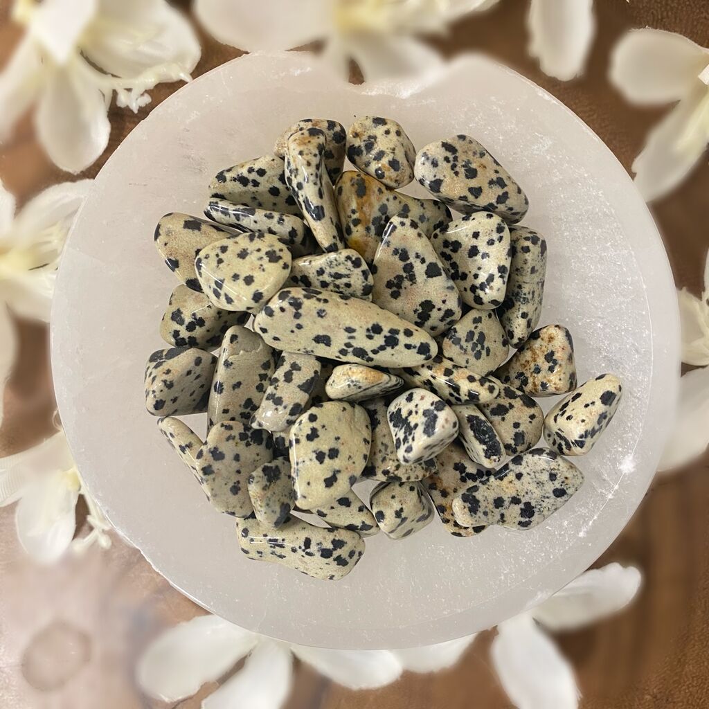 Dalmatian—jasper-crystal-tumble-stone